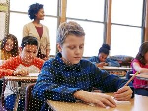 PBL 11_ Rubrics Product Image
